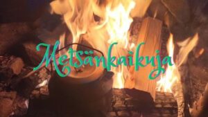 Metsänkaikuja2_400px